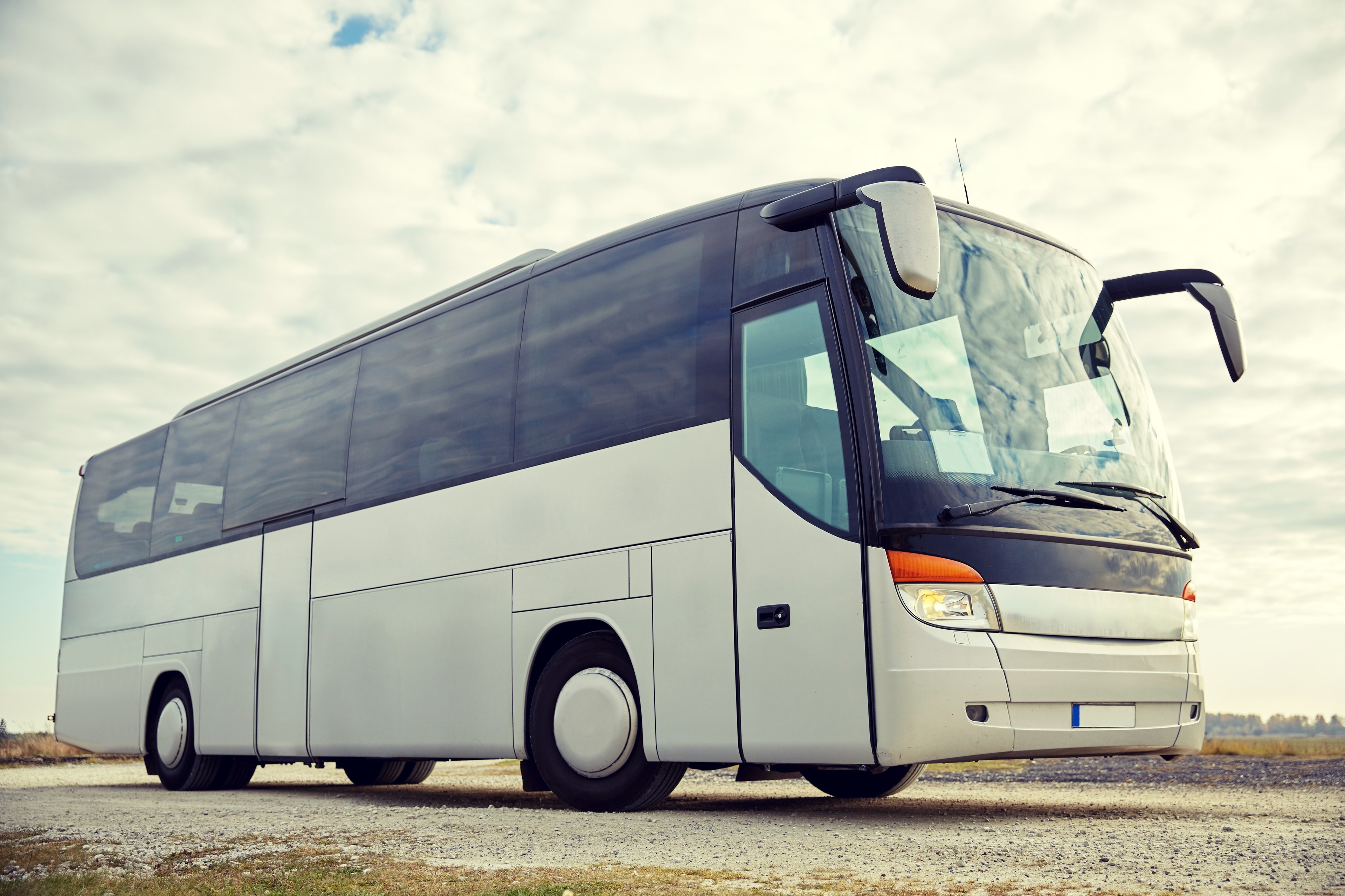 We provide free trips for members